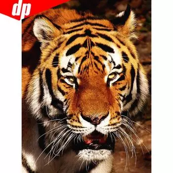 Алмазная вышивка Тигр Алмазная картина Круглые камни Animlas Diamond 20X30