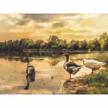 Алмазная вышивка животное утка картина бисер Алмазная картина горный хрусталь набор для вышивки крестом обои 20X30CM
