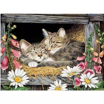 Алмазная вышивка животного, полная круглая кошка, алмазная вышивка крестиком 20X30CM