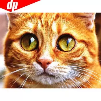 Алмазная вышивка Животные Наборы для вышивки крестом Бисероплетение Алмазная картина Кошка Хобби и рукоделие 20X30