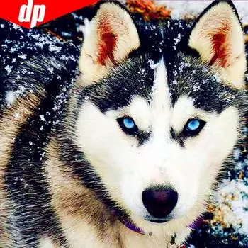 Алмазная вышивка Животные Рукоделие Наборы для вышивки крестом 5d Алмазная картина Соперники Волк Изображение 30x30