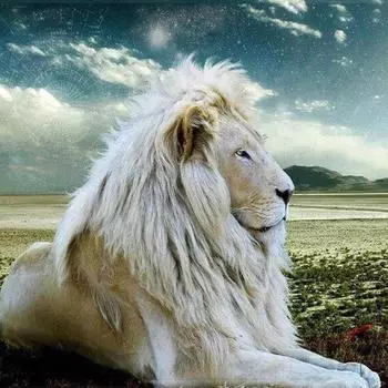 Алмазная живопись Мультфильм Наборы для вышивки крестом Созвездие Стразы Животные Мозаика 30X30CM