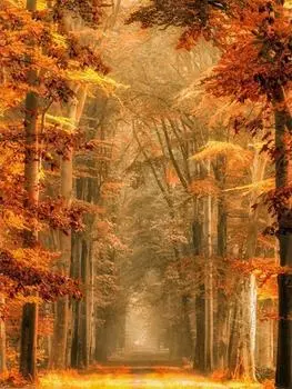 Алмазная живопись Пейзаж 5D Алмазная картина Мозаика Вышивка крестиком Алмазная вышивка Стразы Живопись 15*20cm