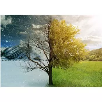 Алмазная картина Пейзаж Дерево Полная круглая алмазная мозаика Украшение для дома Вышивка 20X30CM
