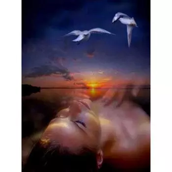 Алмазная живопись, украшения для пары, комната, художественная настенная живопись для дома, алмазная вышивка Navidad, пейзаж Full Round 20x25CM