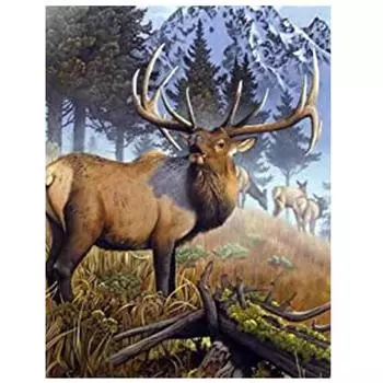 Алмазный художественный пейзаж 5D Алмазная картина Вышивка крестиком Алмазная вышивка Картина 15*20cm