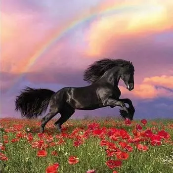 Алмазы Полная дрель 5D Алмазная картина Черная лошадь Diy Алмазная вышивка Алмазная настенная живопись Декор 20x20CM