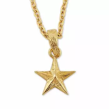 Aloha lokahi Hawaiian Jewelry Necklace Surgical Stainless Steel Star Scroll Yellow Gold Azuki Chain Steel Width 40cm (Aloha Lokahi) (Stainless 2mm)