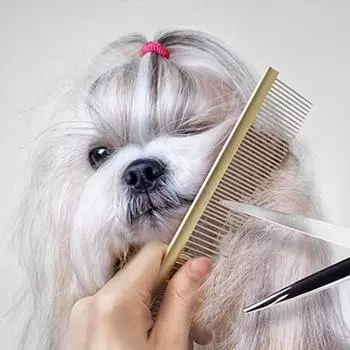 Алюминиевая щетка с двойным гребнем Babion начального уровня BCE3363, золото, 1 шт., корейский шампунь для домашних животных