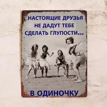 Алюминиевый ретро-знак «Верные друзья», уютный декор, подарок другу, девушке, металл, 20x30 см