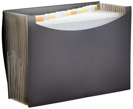 AmazonBasics Документ-кейс для документов A4 Портативный расширяемый футляр для хранения документов с разделителями Ширина 13 см x Высота 21 см Черные этикетки,