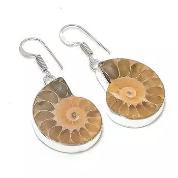 Ammonite Fossil Handmade 925 Sterling Silver Jewelry Earring 1.81 l9k38