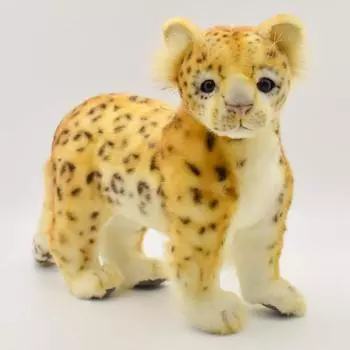 Amur Leopard 40 BH6778