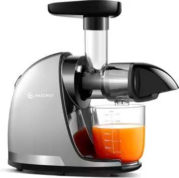 AMZCHEF Медленная соковыжималка для овощей и фруктов Медленная соковыжималка холодного отжима Маленькая соковыжималка Фильтр не требуется Соковыжималка без BPA Высокая скорость отжима сока Низкая