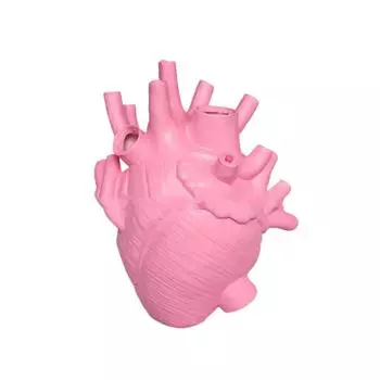 Анатомическая ваза для цветов в форме сердца, горшок в скандинавском стиле, высушенная скульптура, настольное растение для домашнего декора, украшения, подарки