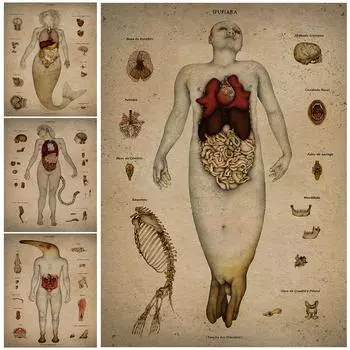 Анатомический художественный плакат Ипупиры и русалки, абстрактное ретро настенное искусство с загадочными биологическими органами 21cm30cm NoFrame