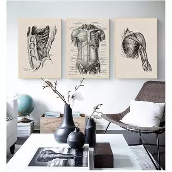 Анатомический скелет, патент, винтажный постер, настенный художественный принт, холст, живопись, постеры и принты, настенные панно для гостиной 21x30cm No Frame