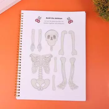 Анатомия человеческого тела Занимательная книга для детей Раскройте секреты человеческого тела Аутизм Сенсорные игрушки Обучающие материалы onesize