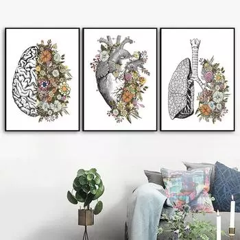 Анатомия человека, медицинская настенная картина, скелет, орган, мышечная система, винтажный постер, печать на холсте, живопись для образования тела 21cm30cm NoFrame