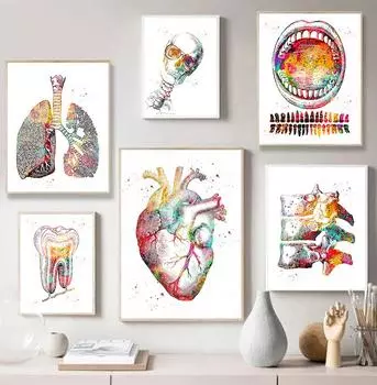 Анатомия человека мышечная система холст картина сердце легкие кость плакат печать медицинское образование офисные фотографии украшение дома подарки 21x30cm No Framed