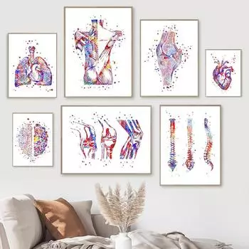 Анатомия человека, система мышц, настенное искусство, холст, живопись, плакаты и принты, карта тела, настенные панно, медицинское образование, домашний декор 21cm30cm NoFrame