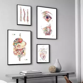 Анатомия Искусство Человеческое Сердце Позвоночник Скелет Настенная Живопись Холст Картина Скандинавский Принт И Плакат Настенная Картина Для Декора Кабинета Врача 21x30cm No Framed