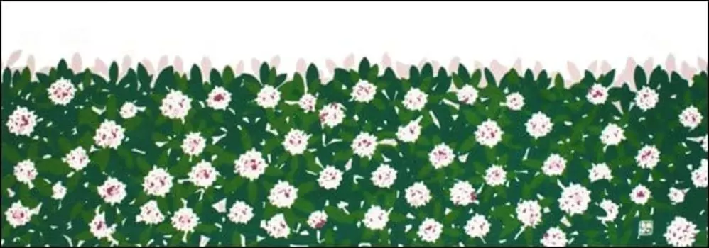 Anbo Dyeing Hand Towel Authentic Dyed Cotton Tokuoka Made in Japan 35cm x 100cm Jasmine Flower 100%