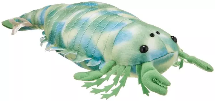 Ancient Creatures Series Pterigotus Plush Toy 6359