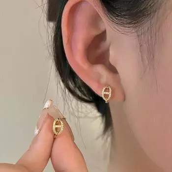 ANENJERY Изящные серьги с геометрическим цирконием и рылом свиньи для женщин, нишевые легкие роскошные женские серьги, вечерние, повседневные ювелирные аксессуары