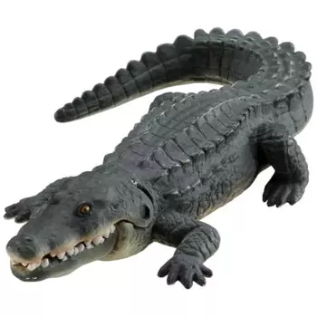 Ania AS-08 Nile Crocodile