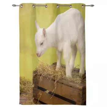 Animal Goat Window Curtain Bedroom Living Room Window Drapes Kitchen Decoration Blinds Curtain 135W x 60H(cm) x1