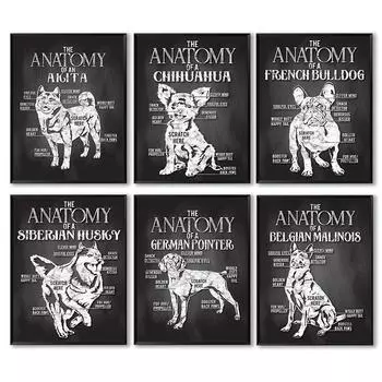 Аниме Собака Сибирский Хаски Французский Бульдог Чихуахуа Анатомический Плакат Печать на Холсте Живопись Настенные Художественные Плакаты Картина Настенный Декор Cuadr 21cm30cm NoFrame