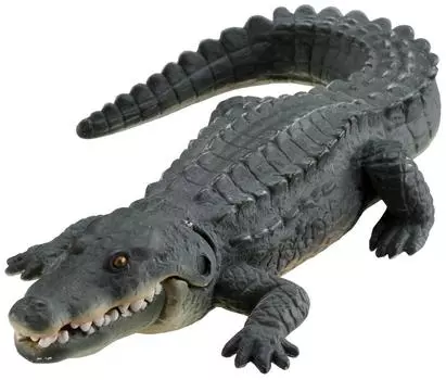 Аня Нильский крокодил AS-08