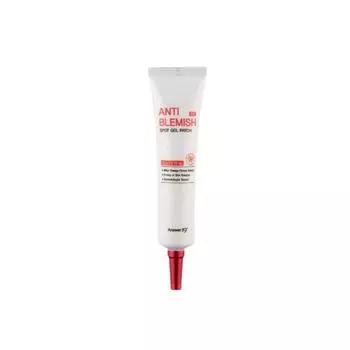 ANSWER19 + Anti Blemish EX Spot Gel Patch 20g Гель-патч против пятен