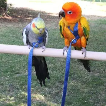 Anti-Bite Portable Bird Supplies Traction Strap Parrot Harness Pet Training Rope Bird Leash M синий