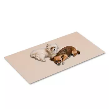 Антибактериальный питомец, изготовленный из 110 см x 220 см. Товары для животных для собак и шокирующий напольный когтеточка для маленьких пожилых людей, травматическая лапа, совместимая с подогревом пола. бежевый