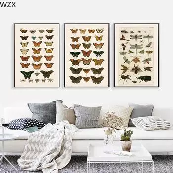 Античная бабочка, винтажные постеры, принты, насекомые, природа, образование, настенное искусство, холст, настенная живопись, картина для детской комнаты, домашний декор 21x30cm No Framed