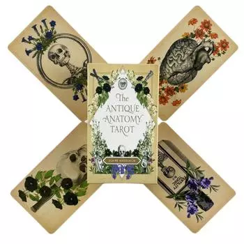 Античное Анатомическое Таро. Игровые карты для настольной колоды из 78 карт.