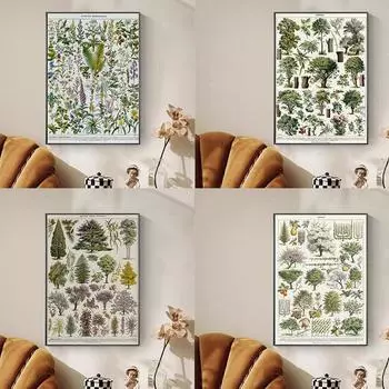 Антикварные вечнозеленые деревья, шишки, ботанический постер, холст, художественная картина, ретро-книга, настенный декор, эстетический для гостиной, дома 21x30cm No Frame