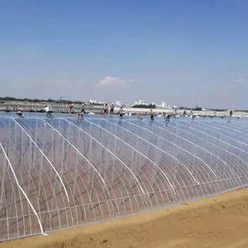 Антивозрастная пластиковая пленка для выращивания овощей в теплицах и сельском хозяйстве 8m Width 2m-Length