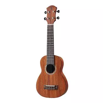 aNueNue Soprano ukulele with pickup electric ukulele aNueNue aNN-S3E
