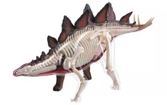 Aoshima Bunka Kyozai Skynet 3D Puzzle 4D VISION Анатомия животных Анатомия стегозавра Модель № 25