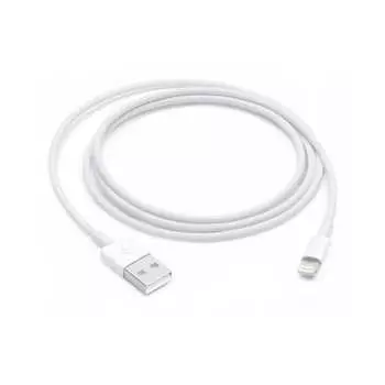 Apple Lightning to USB cable (1 m)