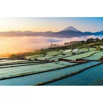Apple One 1000 Piece Jigsaw Puzzle Fuji and Rice Terraces at Sunrise (50x75cm)