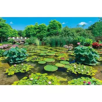 Apple One 1000 элементов пазла Shining Green Water Forest (50x75cm) зелёный