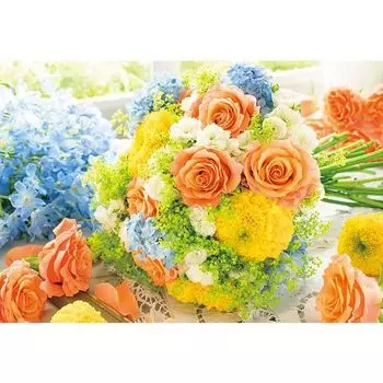 Apple One 300 Piece Jigsaw Puzzle Shiny Orange (26x38cm)