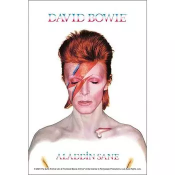 APPLEONE 120 элементов пазла Легенда рока Дэвид Боуи ALADDIN SANE Обложка пластинки Размер открытки Мини-пазл Сделано в Японии (14,7x10 см) 120-016