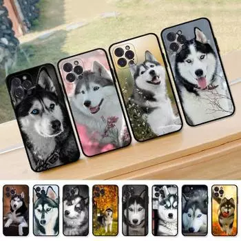 Applicable To IPhone16 Mobile Phone Case New Couple Animal Husky Mobile Phone Case iPhone13