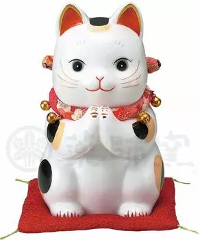 Аяэ Фукуфуку Онегай Кот AM-Y7290