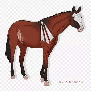 Арабская лошадь, американская лошадь, термотрансферная печать, виниловые нашивки, наклейки для одежды, аппликации «сделай сам», моющиеся нашивки